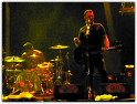 qotsa